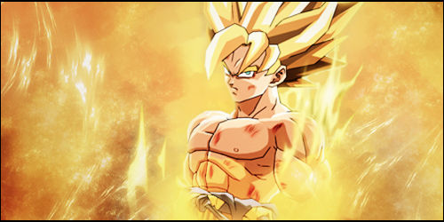 Super Saiyan Goku Signature 500 x 250