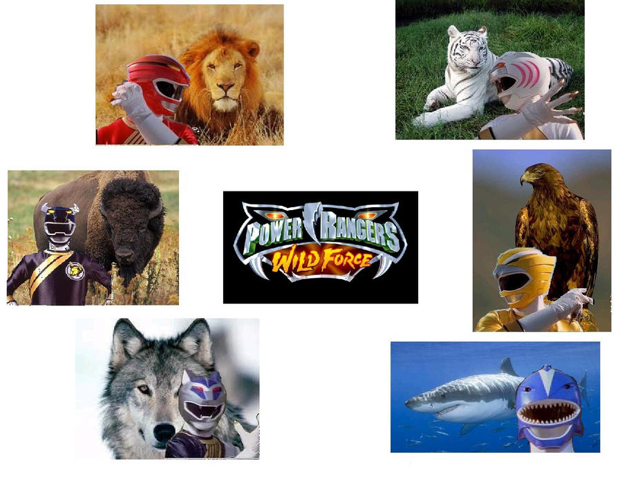 PowerRangersWildForce Poster