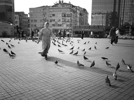 Lady and the pigeons