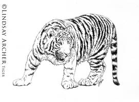 Tiger BW