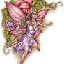 Pink Rose Fairy