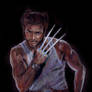 Hugh Jackman as Wolverine