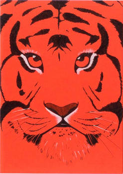 The year of the Tiger
