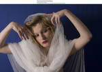Swan 5 by almudena-stock