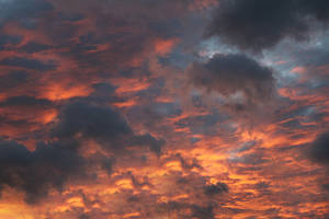 Sky 13