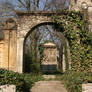 Ivy arch with grave