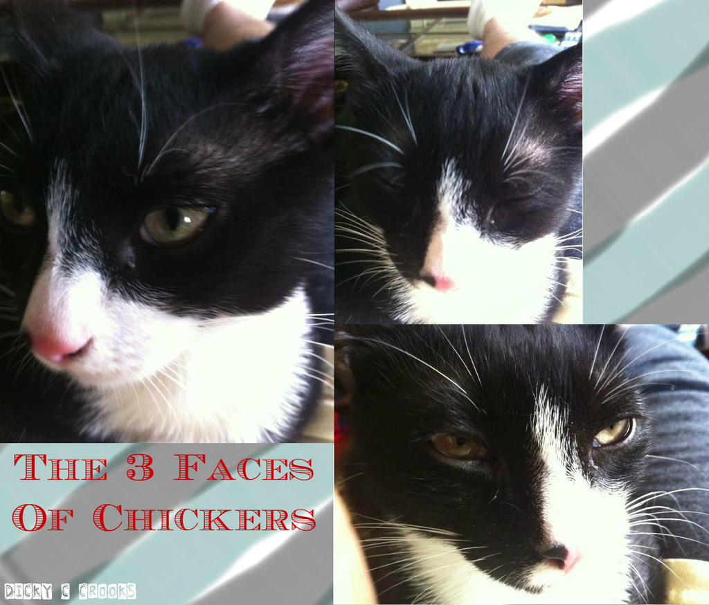 The 3 faces of Chicky by DickyCrooks on DeviantArt