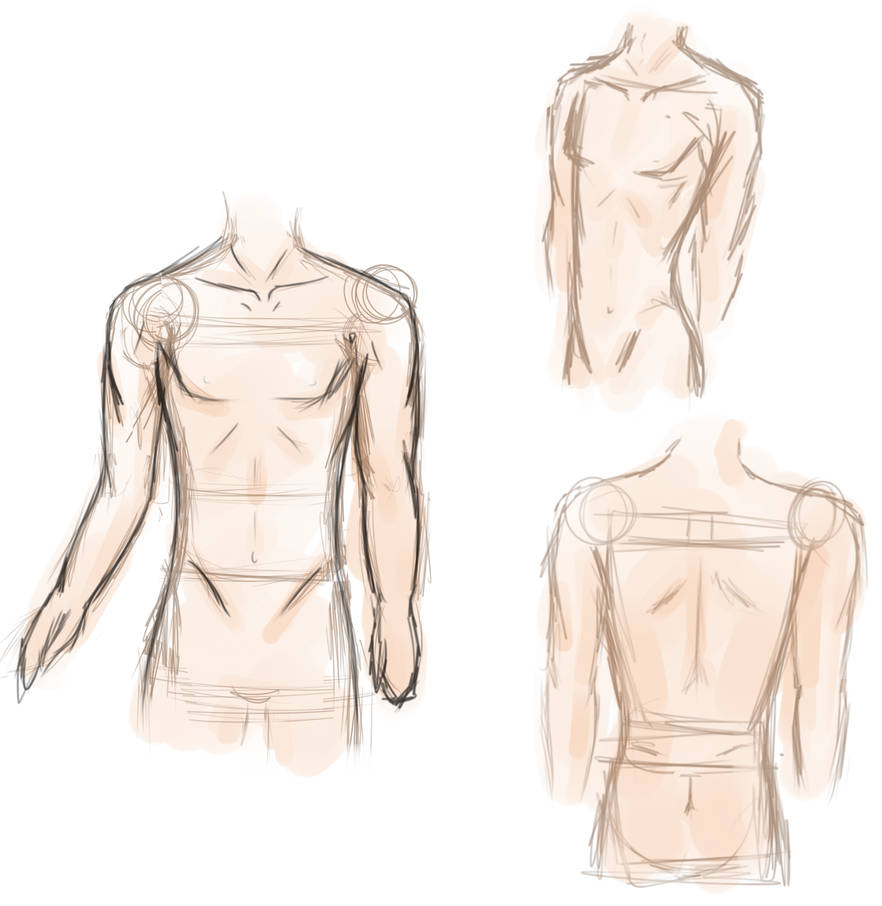 Male Anatomy Anime / Anime Male Anatomy Art Valitse Laajasta