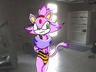 Blaze the Cat on gym