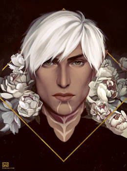 Let me draw Fenris with pretty flowers