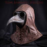 Plague Doctor Mask and Leather Hood