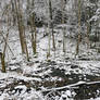 Wood in snow in Jura mountains