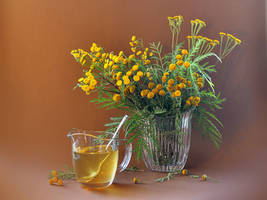 Tansy and honey