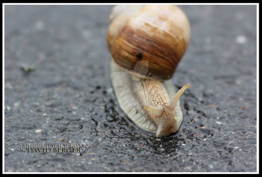 snail-speed running