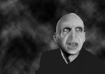 Voldemort WIP