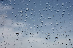 Raindrops