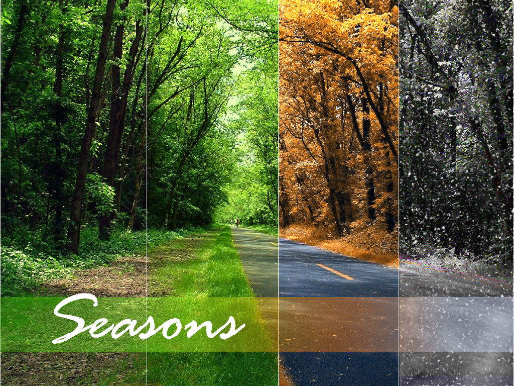 Seasons