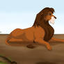 Lion in the savannah 2