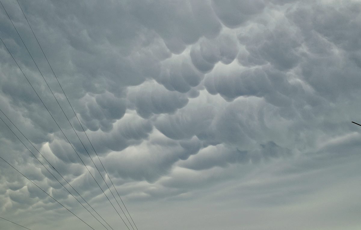 Mammatus