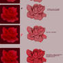 Tutorial painting rose -ITA-