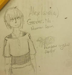 Alex The Archive Artifact Alexandria