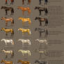 horse Color Chart