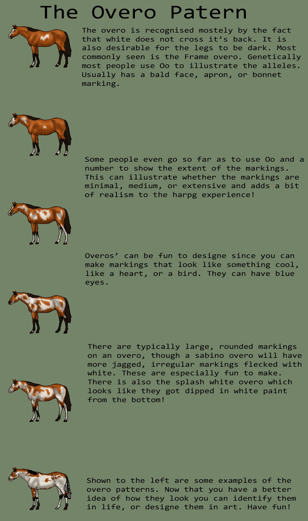 Overo by MagicWindsStables on DeviantArt