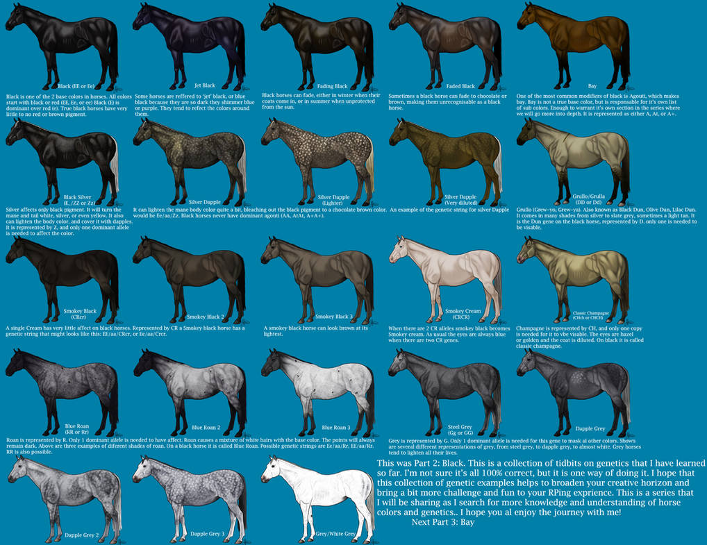 Какие названия у лошадей. Лошади масти и породы. Масти лошадей таблица. Породы верховых лошадей таблица. Определитель масти лошадей.