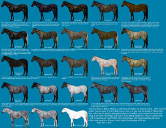 Black color genetics chart