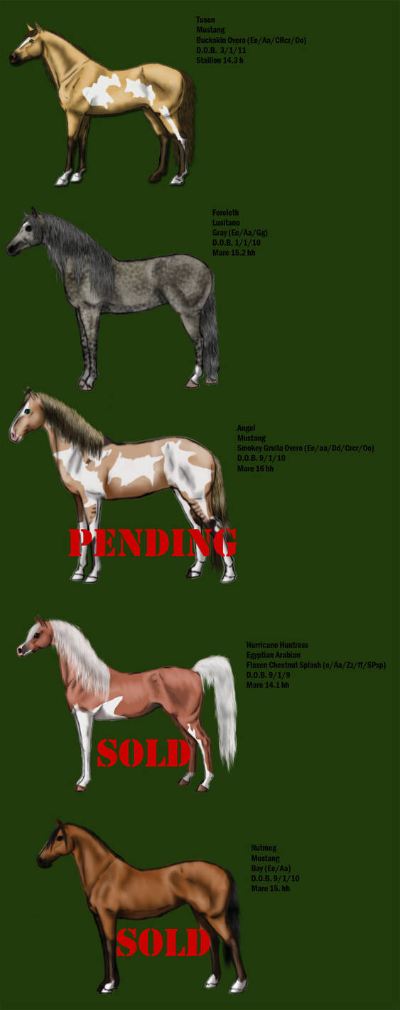 Sales Roster by MagicWindsStables on DeviantArt