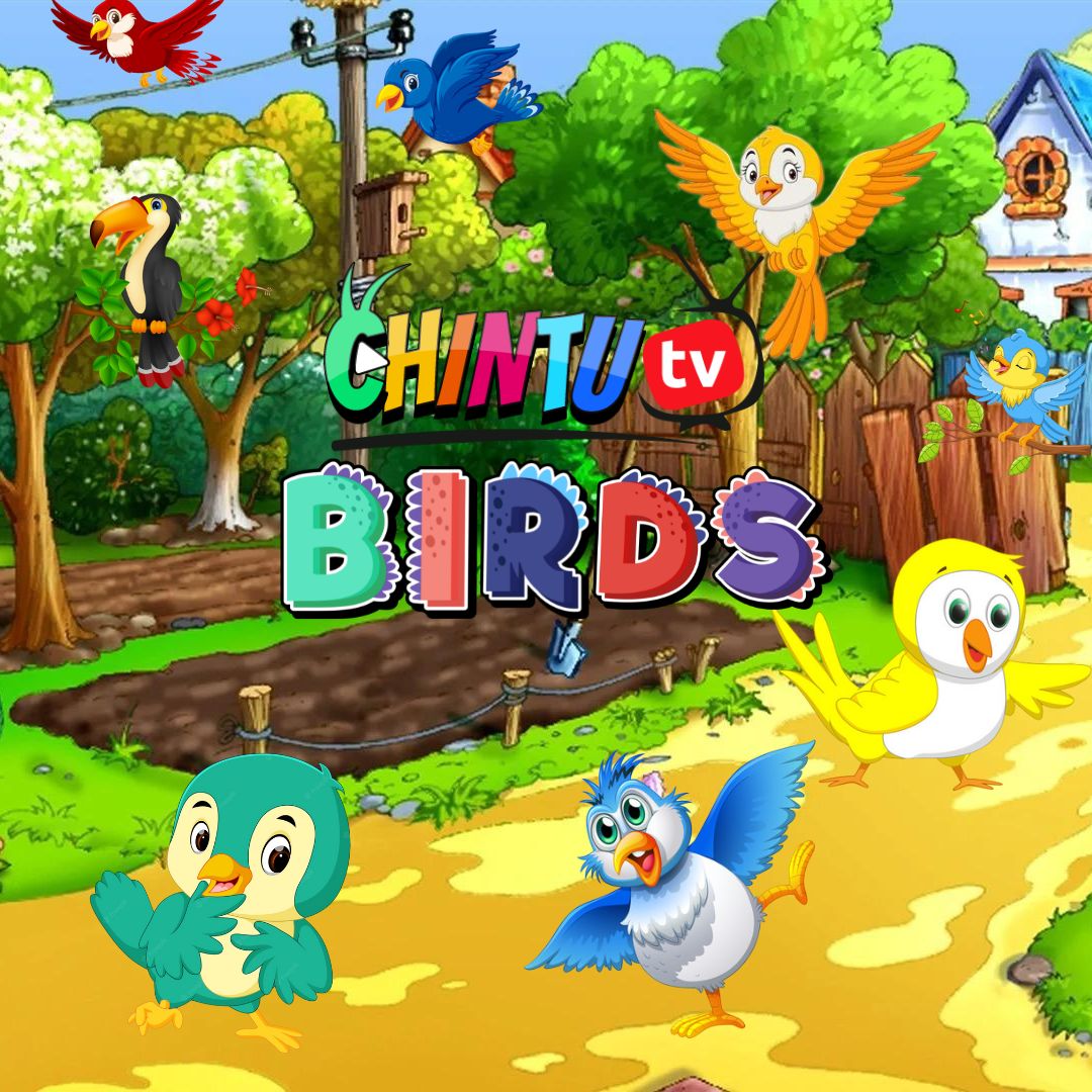 BIRDS | CHINTU TV APP | EDUCATION by chintutvapp on DeviantArt