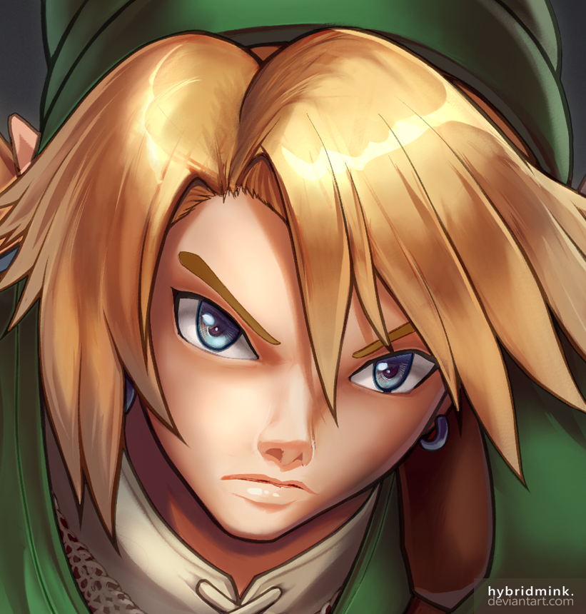 Link (portrait)