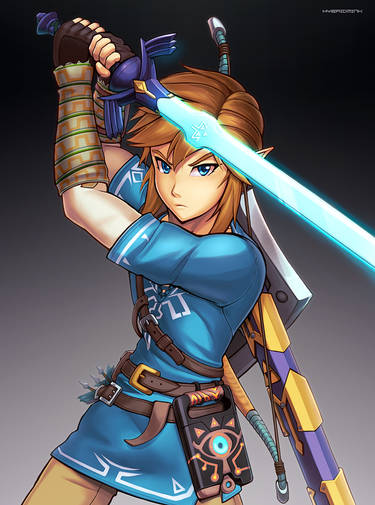 Zelda TotK Drawing by Hybridmink - Pixels