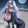 Black Cat