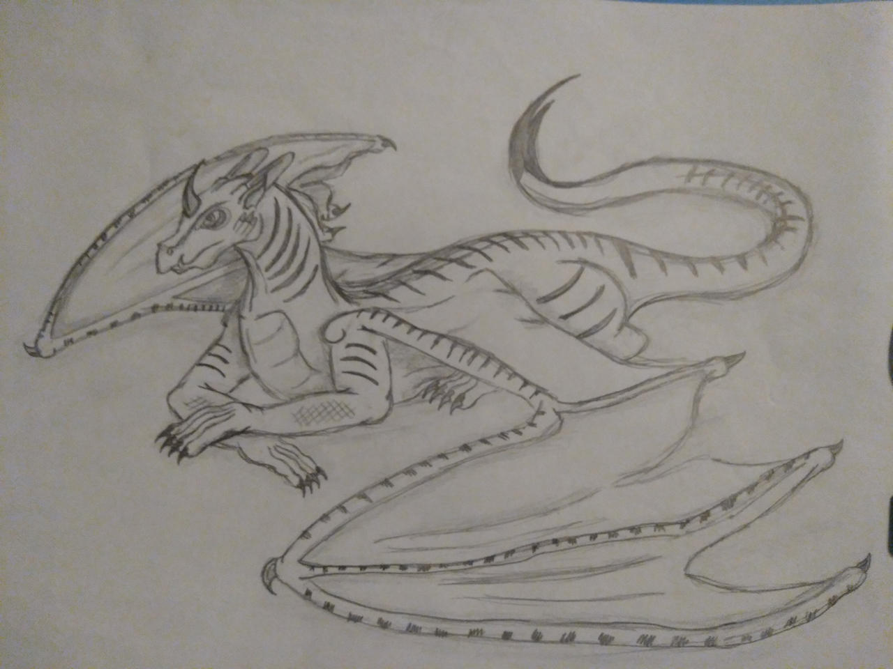 Tiger Wasp Dragon by CreatorCat on DeviantArt