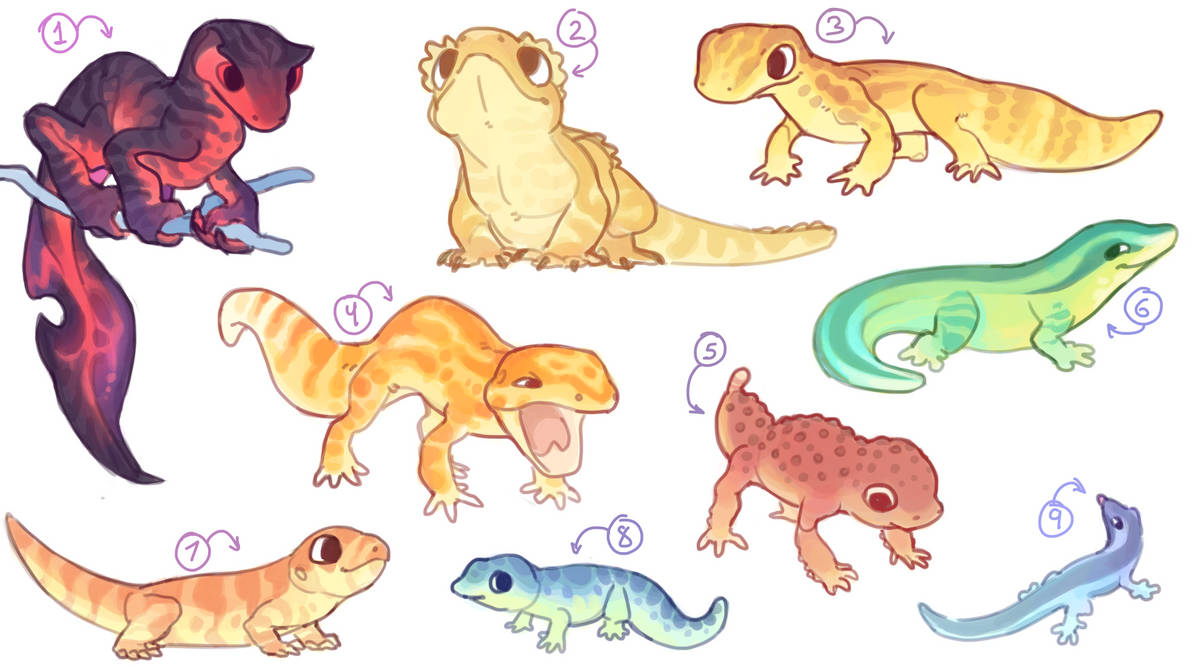 Gecko Deviantart Gecko Adopts by Zayozaze on DeviantArt