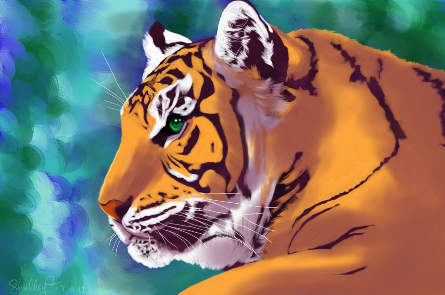 Tiger