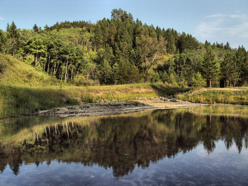 Bone springs by Haakansonphotography on DeviantArt