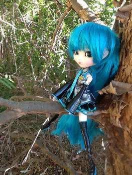 Miku Hatsune Pullip 20