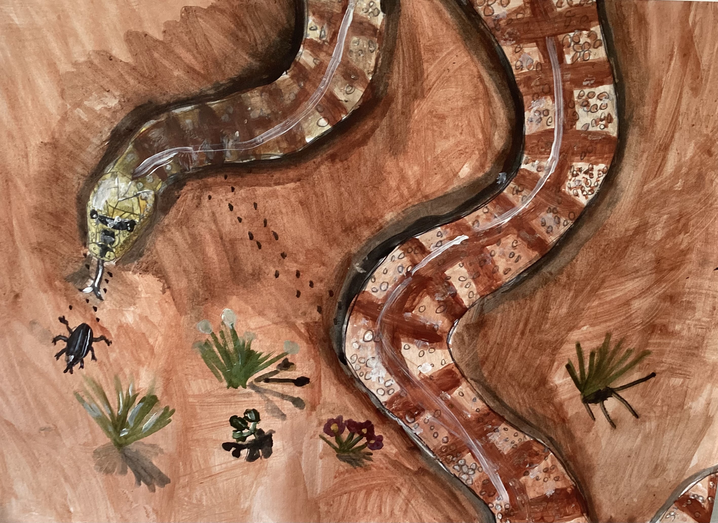 Woma python on a desert by styracoart on DeviantArt