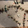 My animal and dinosaur collection over the years