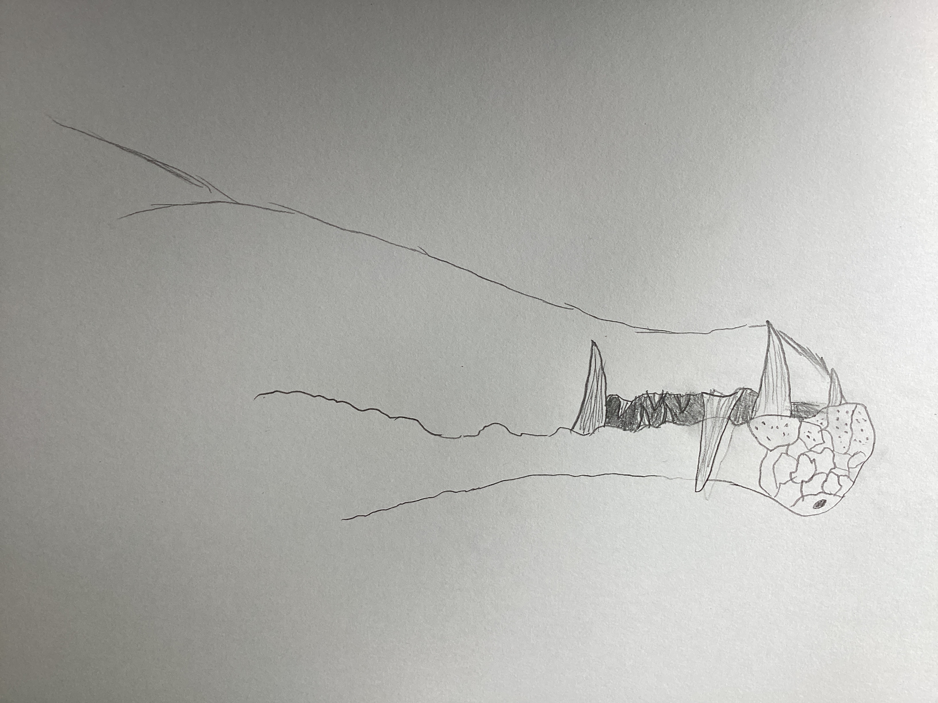 Guess what dinosaurs this will be