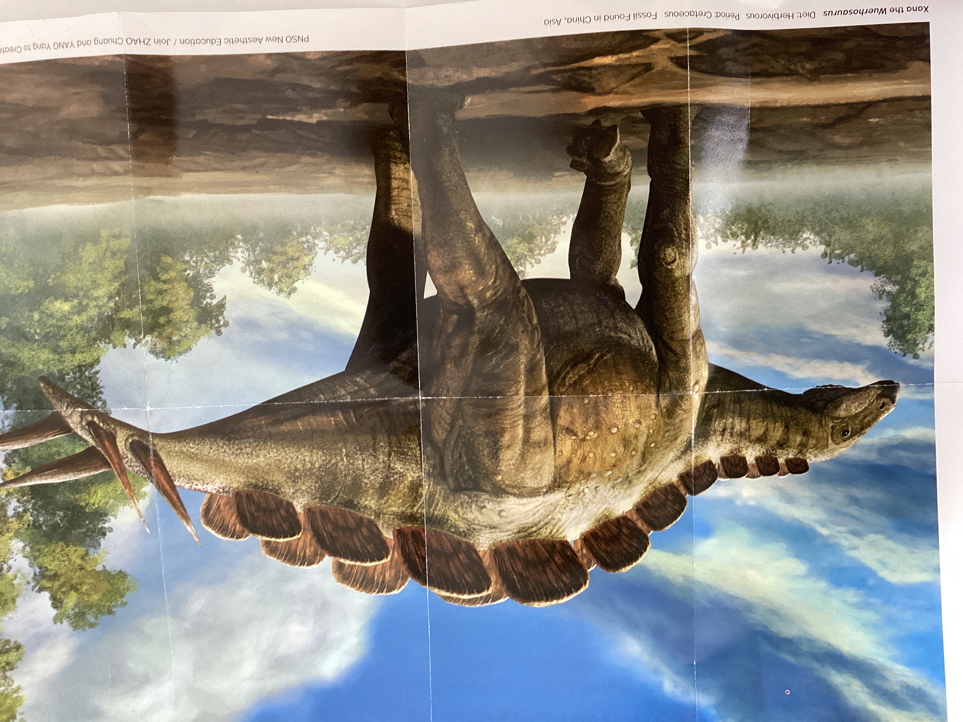 Wuerhosaurus poster