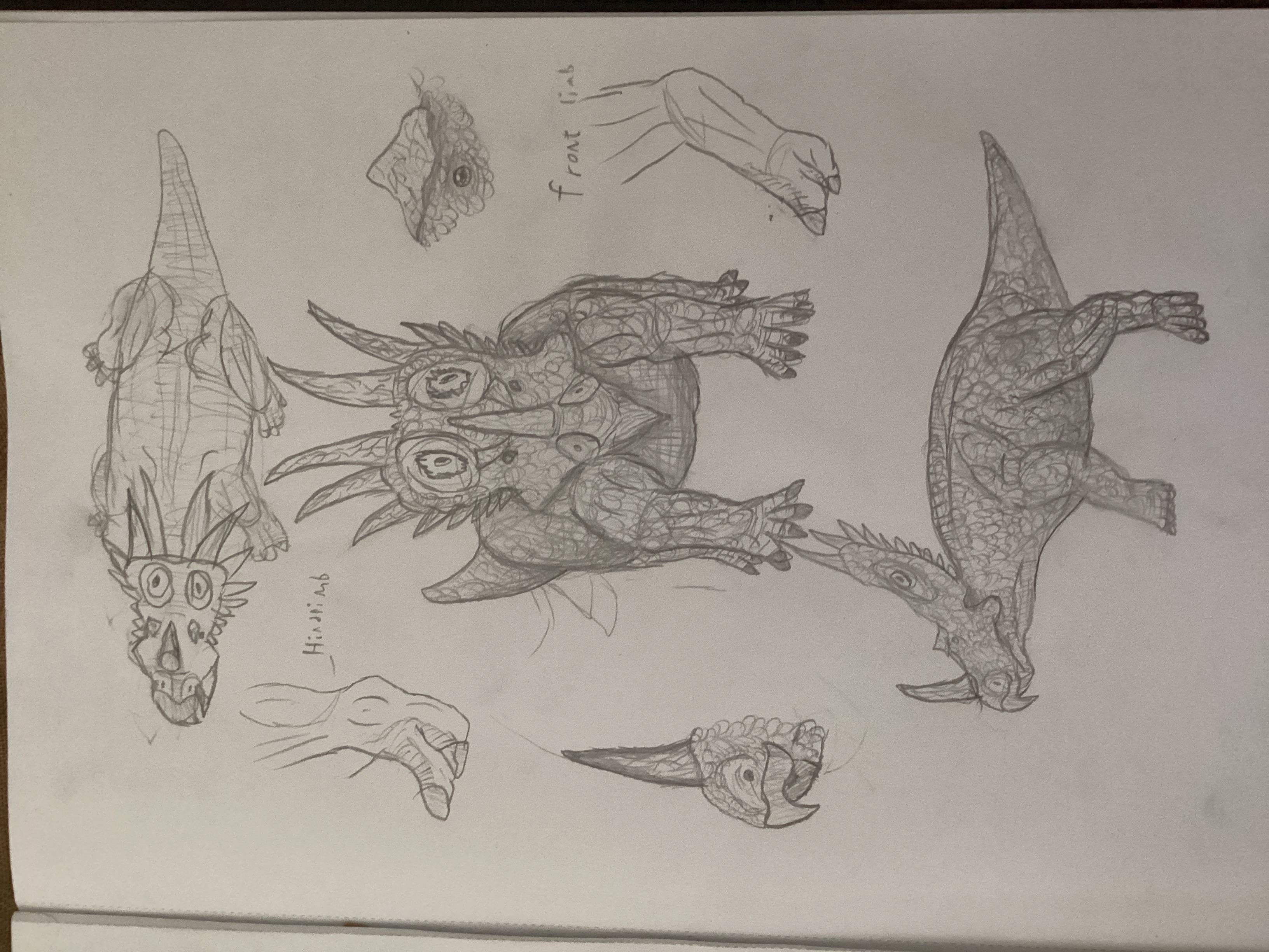 Thorn the styracosaurus ART CHALLENGE!!!