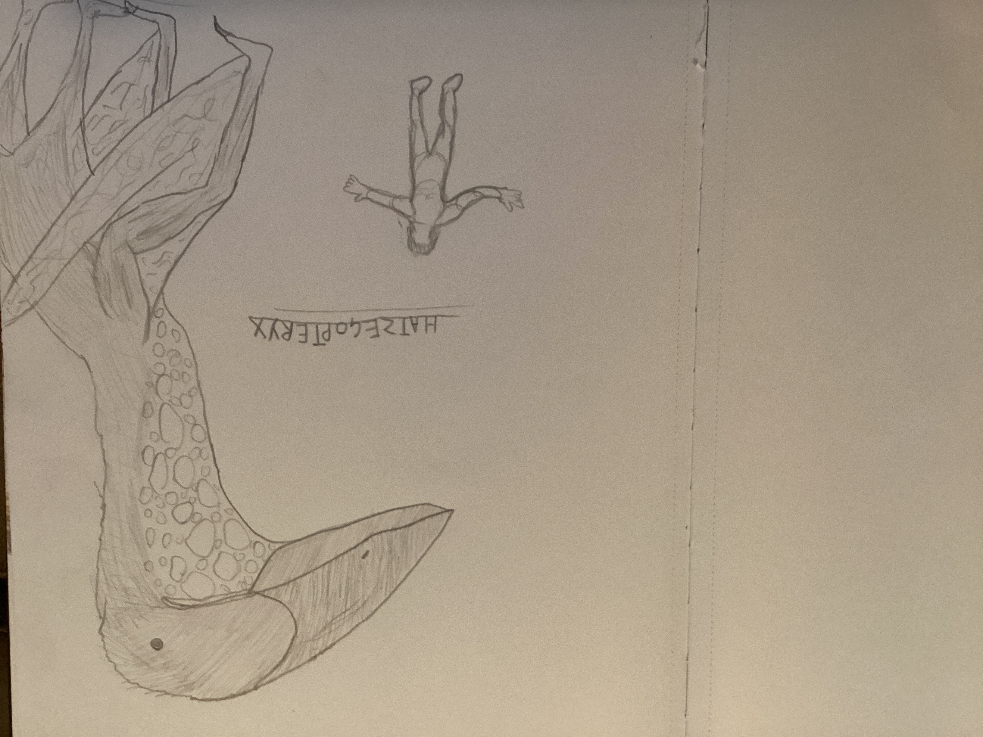 Scientificly reconstructed hatzegopteryx