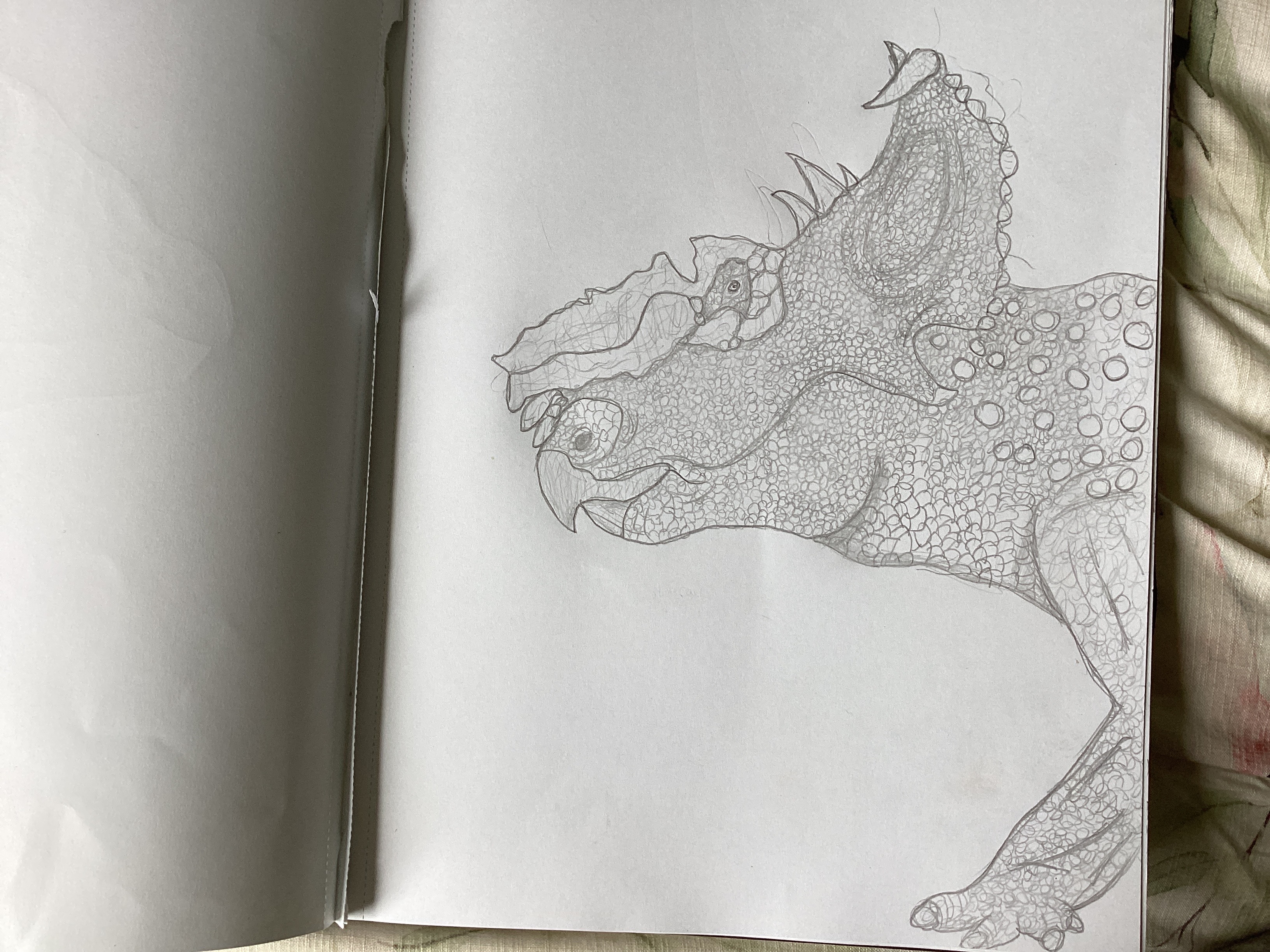 Pachyrhinosaurus paleo