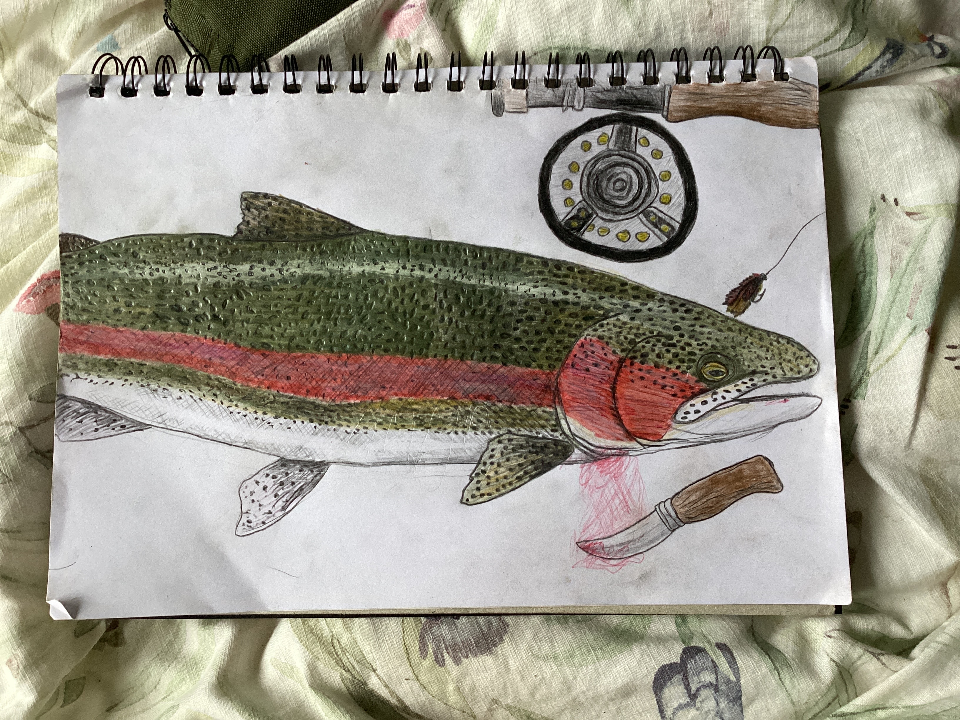 A trophy rainbow trout!