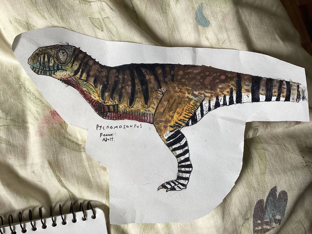 Pycnonemosaurus female adult by styracoart on DeviantArt