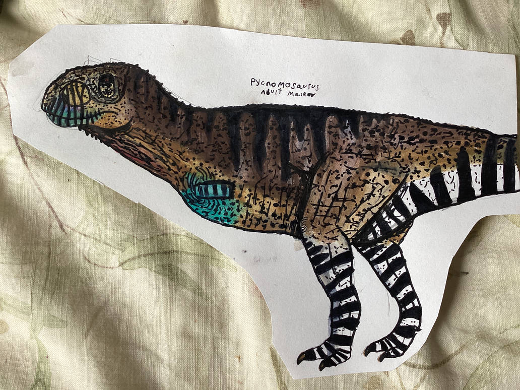 Pycnonemosaurus male adult by styracoart on DeviantArt