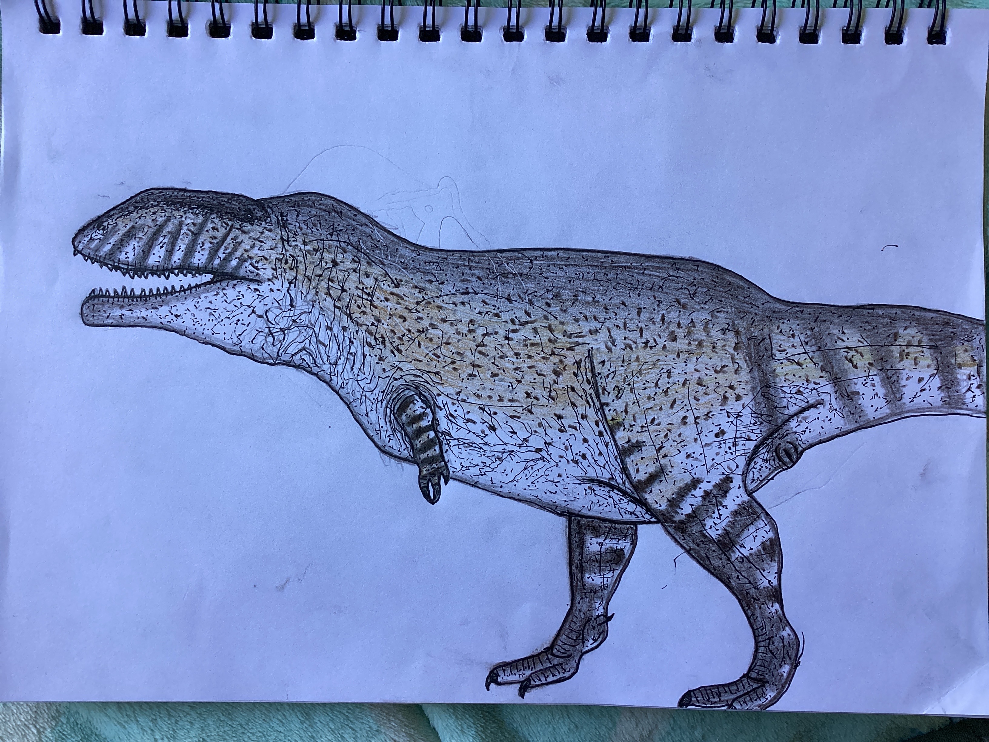 Carcharodontosaurus saharicus